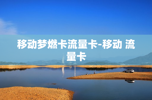 移动梦燃卡流量卡-移动 流量卡