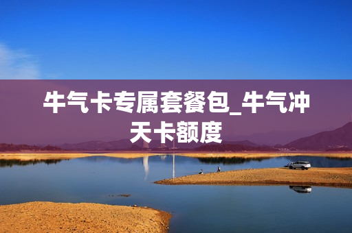 牛气卡专属套餐包_牛气冲天卡额度