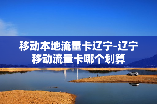 移动本地流量卡辽宁-辽宁移动流量卡哪个划算