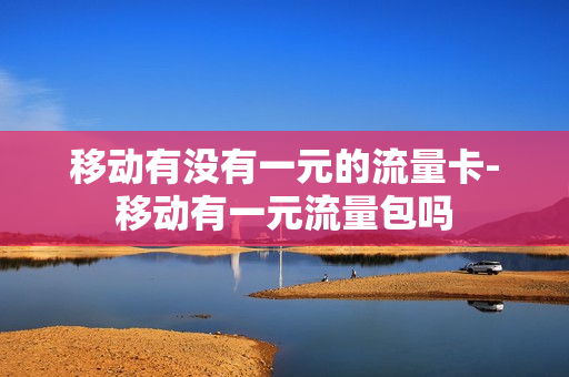 移动有没有一元的流量卡-移动有一元流量包吗