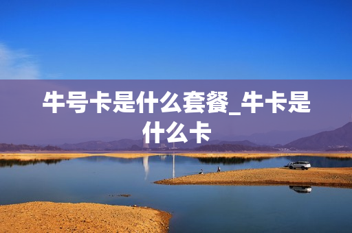 牛号卡是什么套餐_牛卡是什么卡