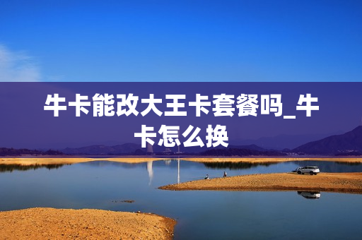 牛卡能改大王卡套餐吗_牛卡怎么换