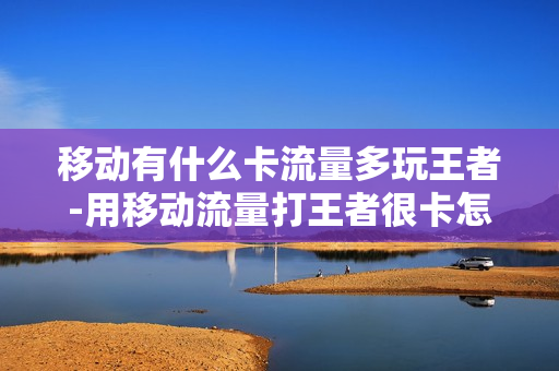 移动有什么卡流量多玩王者-用移动流量打王者很卡怎么回事