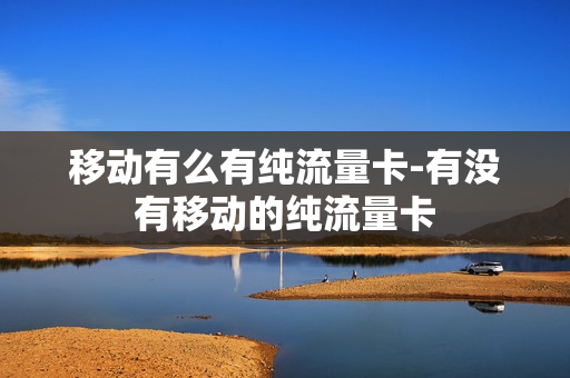 移动有么有纯流量卡-有没有移动的纯流量卡