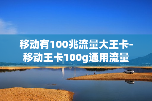 移动有100兆流量大王卡-移动王卡100g通用流量