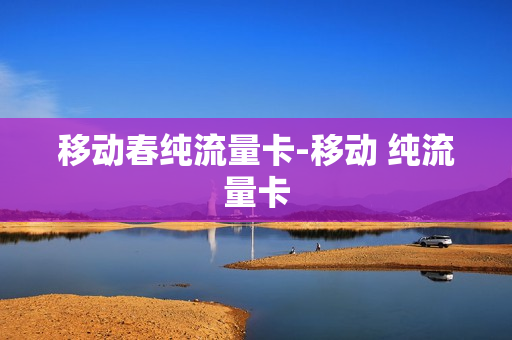 移动春纯流量卡-移动 纯流量卡