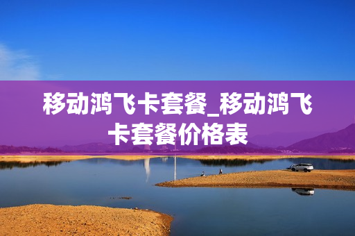 移动鸿飞卡套餐_移动鸿飞卡套餐价格表