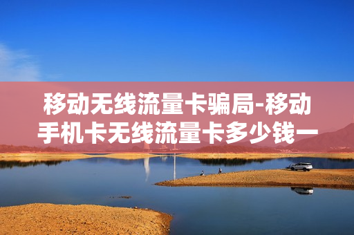 移动无线流量卡骗局-移动手机卡无线流量卡多少钱一张