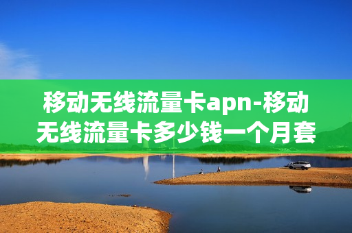移动无线流量卡apn-移动无线流量卡多少钱一个月套餐