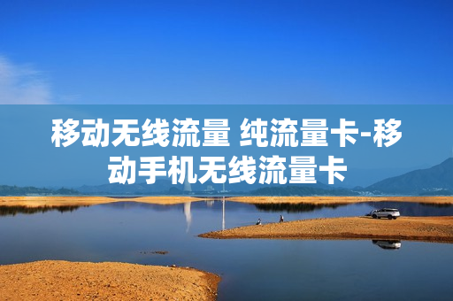 移动无线流量 纯流量卡-移动手机无线流量卡