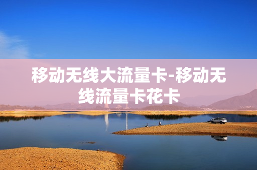移动无线大流量卡-移动无线流量卡花卡