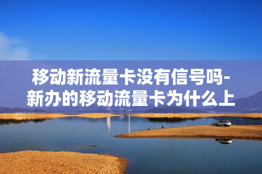 移动新流量卡没有信号吗-新办的移动流量卡为什么上不了网了