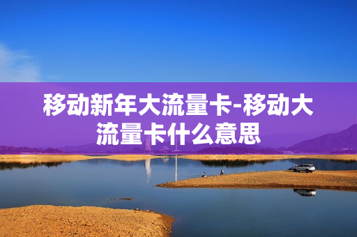 移动新年大流量卡-移动大流量卡什么意思