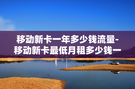 移动新卡一年多少钱流量-移动新卡最低月租多少钱一个月