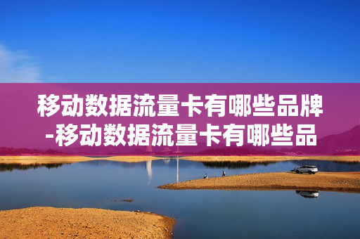 移动数据流量卡有哪些品牌-移动数据流量卡有哪些品牌好