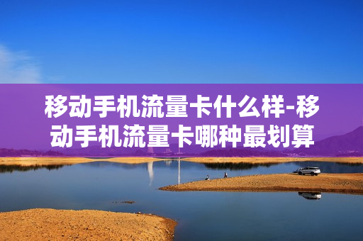 移动手机流量卡什么样-移动手机流量卡哪种最划算