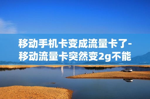 移动手机卡变成流量卡了-移动流量卡突然变2g不能上网