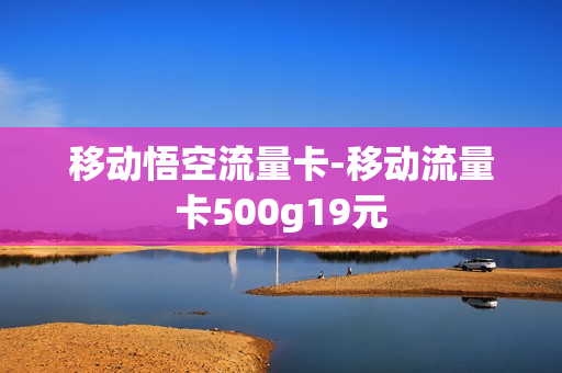移动悟空流量卡-移动流量卡500g19元