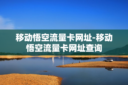 移动悟空流量卡网址-移动悟空流量卡网址查询