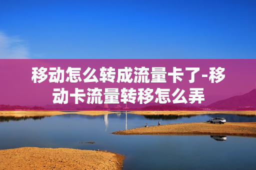 移动怎么转成流量卡了-移动卡流量转移怎么弄