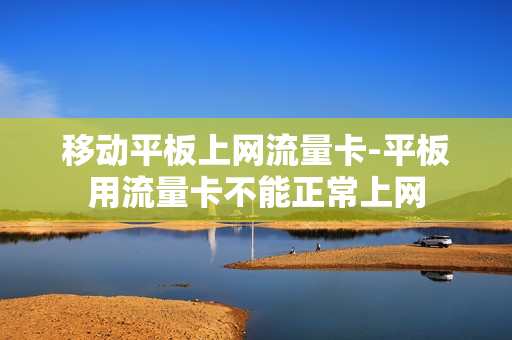 移动平板上网流量卡-平板用流量卡不能正常上网