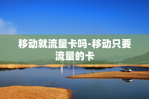 移动就流量卡吗-移动只要流量的卡