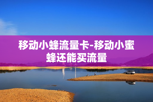 移动小蜂流量卡-移动小蜜蜂还能买流量