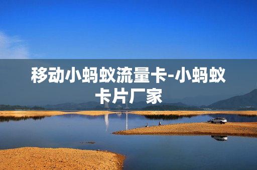 移动小蚂蚁流量卡-小蚂蚁卡片厂家