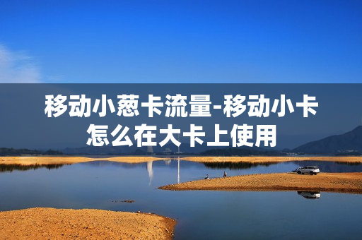 移动小葱卡流量-移动小卡怎么在大卡上使用