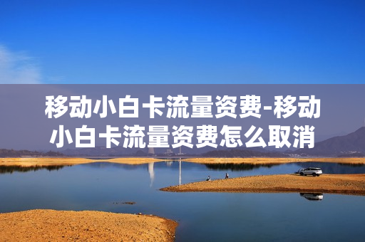 移动小白卡流量资费-移动小白卡流量资费怎么取消