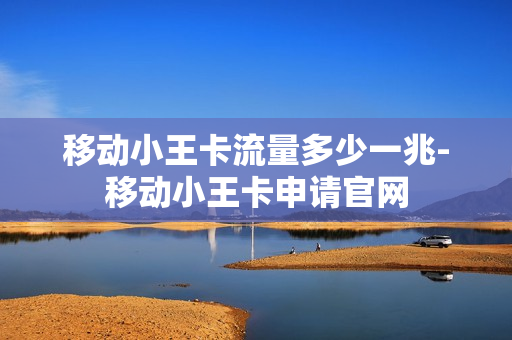 移动小王卡流量多少一兆-移动小王卡申请官网