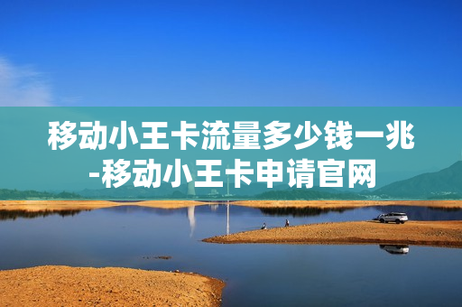 移动小王卡流量多少钱一兆-移动小王卡申请官网