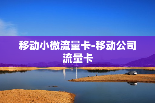 移动小微流量卡-移动公司流量卡