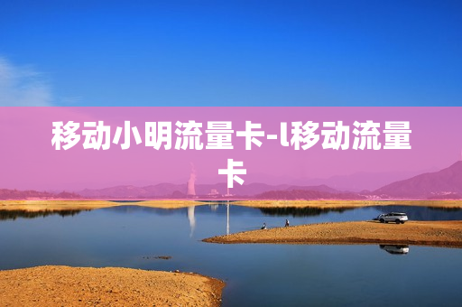 移动小明流量卡-l移动流量卡