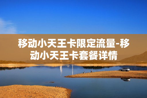移动小天王卡限定流量-移动小天王卡套餐详情