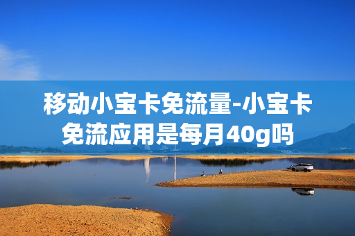 移动小宝卡免流量-小宝卡免流应用是每月40g吗