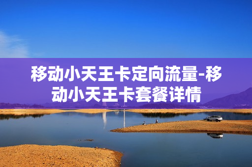 移动小天王卡定向流量-移动小天王卡套餐详情