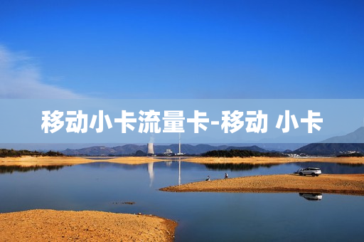 移动小卡流量卡-移动 小卡