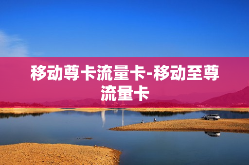 移动尊卡流量卡-移动至尊流量卡