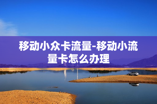 移动小众卡流量-移动小流量卡怎么办理