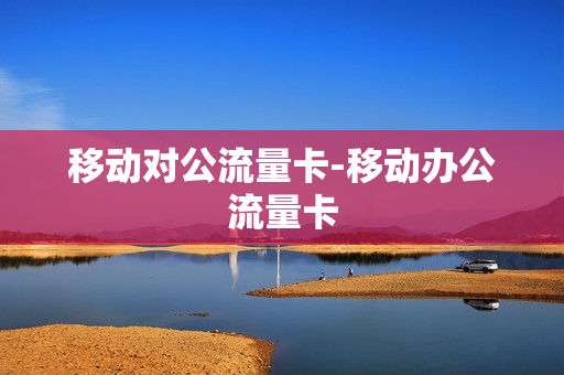 移动对公流量卡-移动办公流量卡