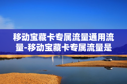 移动宝藏卡专属流量通用流量-移动宝藏卡专属流量是什么意思
