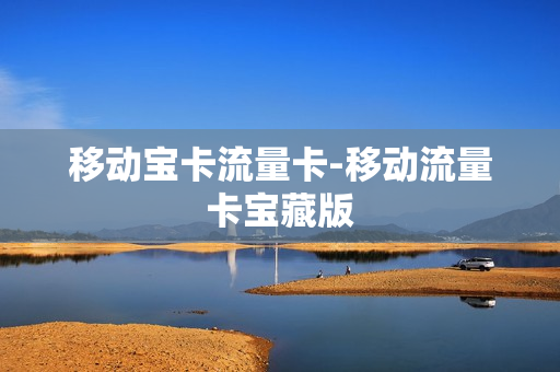 移动宝卡流量卡-移动流量卡宝藏版