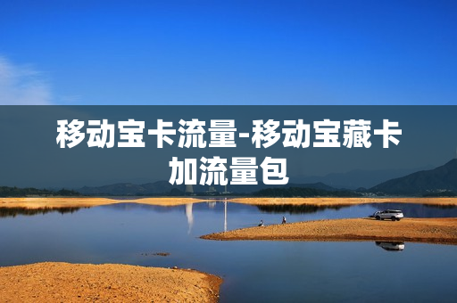 移动宝卡流量-移动宝藏卡加流量包
