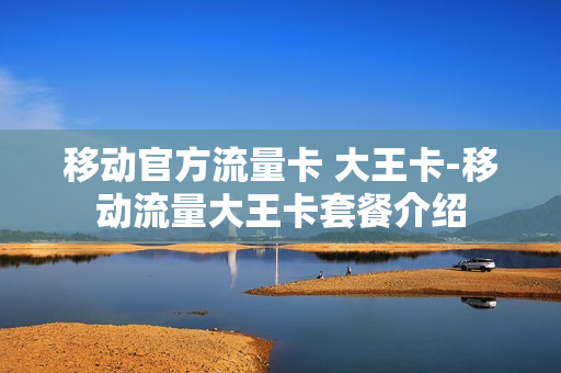 移动官方流量卡 大王卡-移动流量大王卡套餐介绍