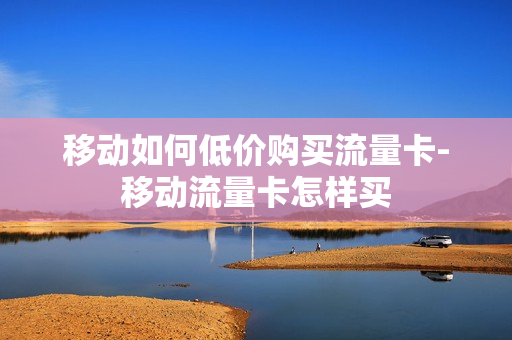 移动如何低价购买流量卡-移动流量卡怎样买