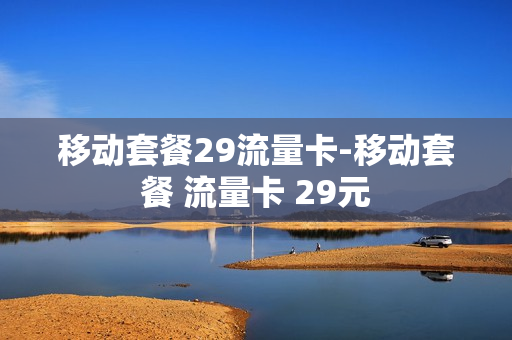 移动套餐29流量卡-移动套餐 流量卡 29元