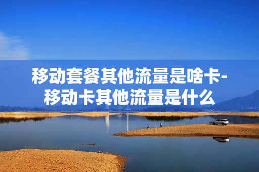 移动套餐其他流量是啥卡-移动卡其他流量是什么