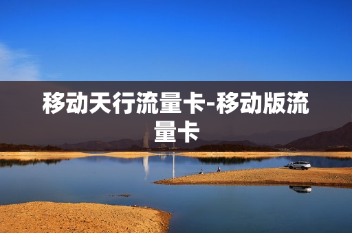 移动天行流量卡-移动版流量卡