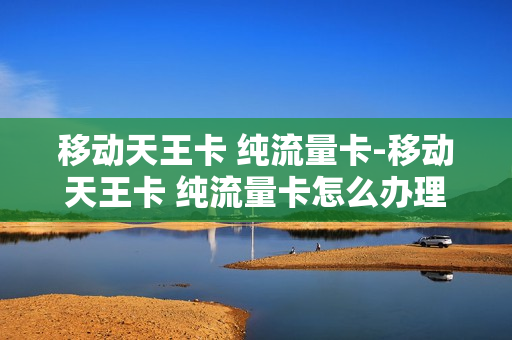 移动天王卡 纯流量卡-移动天王卡 纯流量卡怎么办理